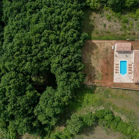 Villa Savicenta